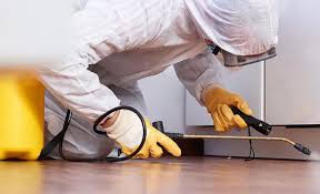 Best Termite Inspection and Treatment  in Rogersville, AL